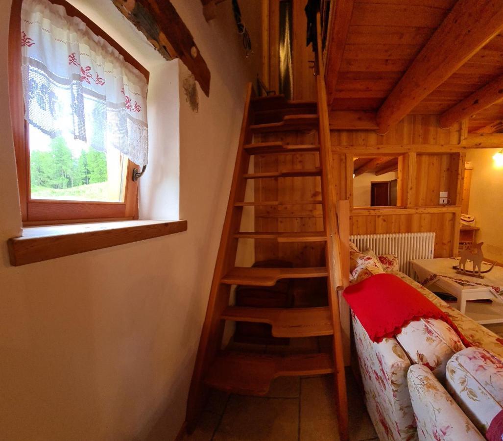 Baita Pra Petina Pale Di San Martino Siror Экстерьер фото