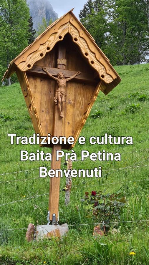 Baita Pra Petina Pale Di San Martino Siror Экстерьер фото